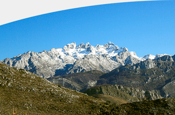 Picos de Europa