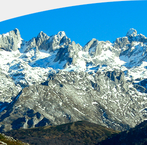 Picos de Europa