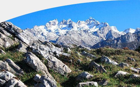 Picos de Europa